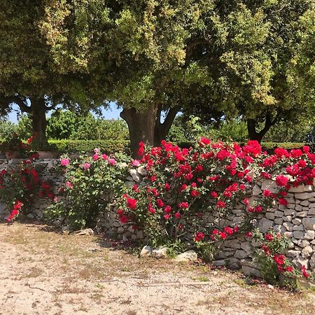 Ai Pilieri Di Bagnoli Villa Castel Del Monte  Ngoại thất bức ảnh