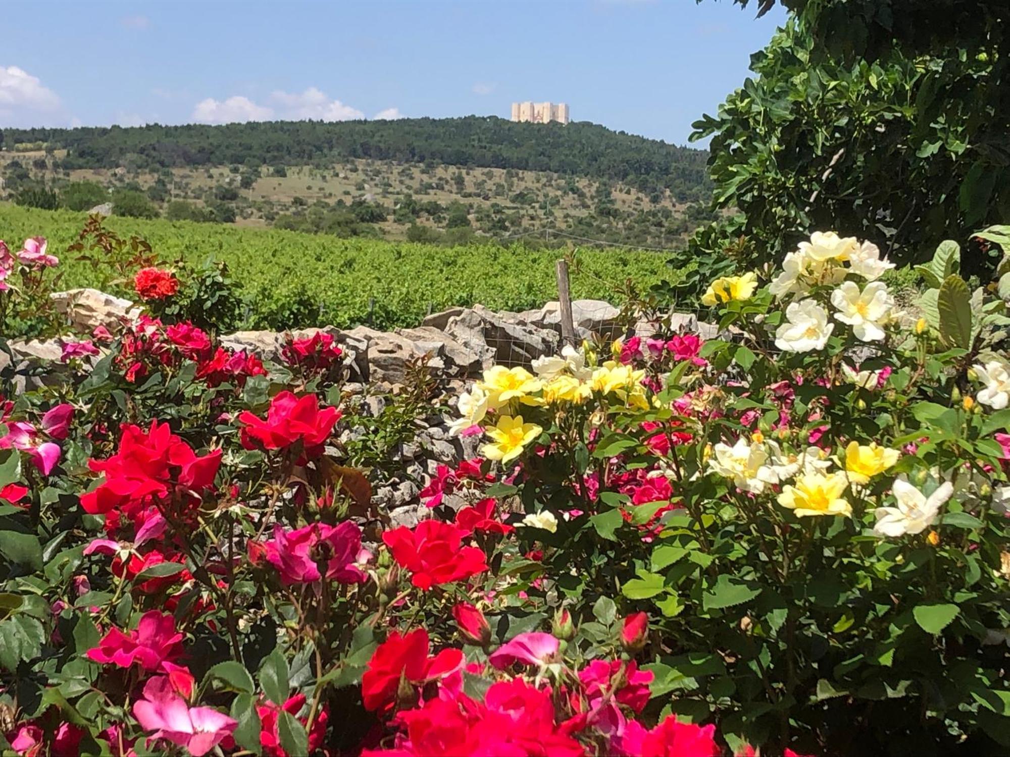 Ai Pilieri Di Bagnoli Villa Castel Del Monte  Ngoại thất bức ảnh
